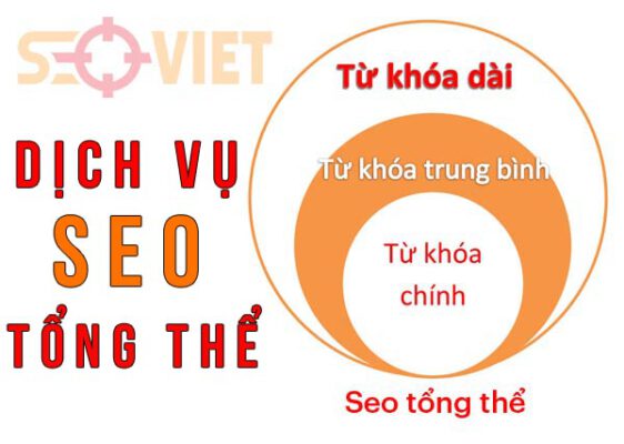 dich-vu-seo-tong-the-can-tho
